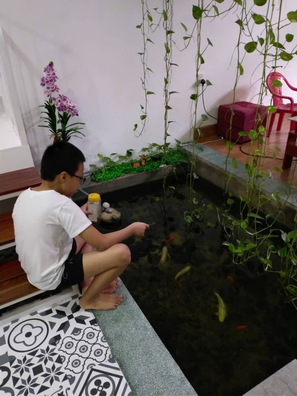 Фото объявления