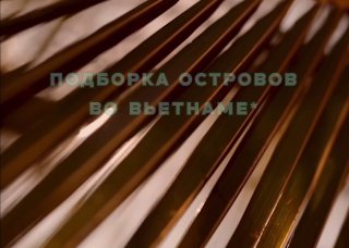 Видео объявления