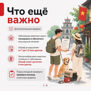 Фото объявления